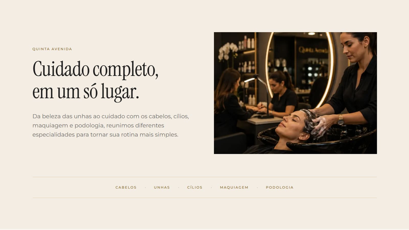 Seção de introdução do site