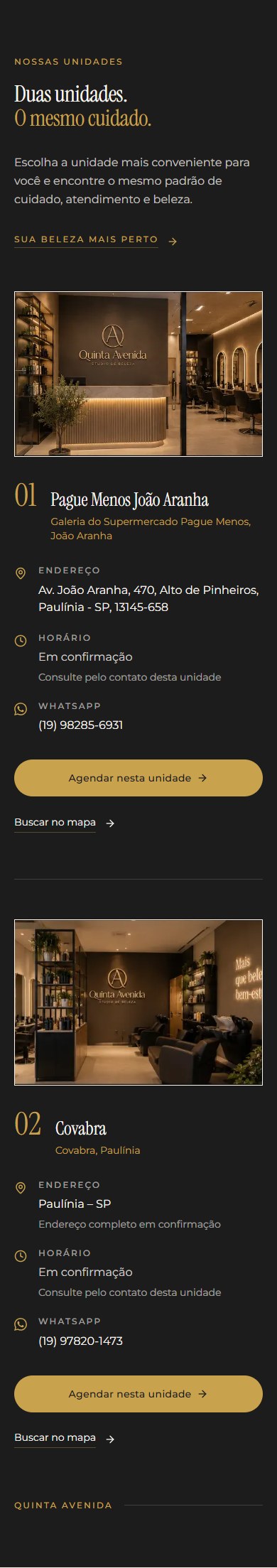 Site da Quinta Avenida no celular, unidades